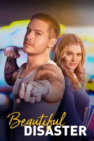 Beautiful Disaster 2023 Hindi Dual Audio – HD Poster Download - filmyfly