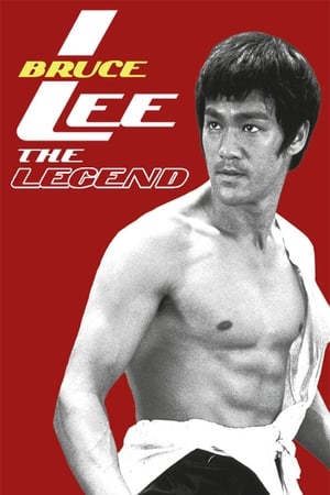 Bruce Lee the Legend 1984 Hindi Dual Audio HDTVRip 300MB HD Poster Download - filmyfly