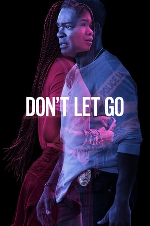 Don’t Let Go (2019) Hindi Dual Audio [890MB] HD Poster Download - filmyfly