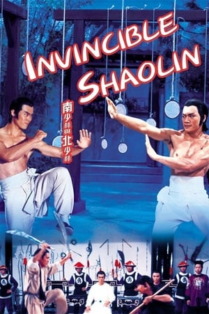 Invincible Shaolin 1978 Hindi Dual Audio 300MB HD Poster Download - filmyfly