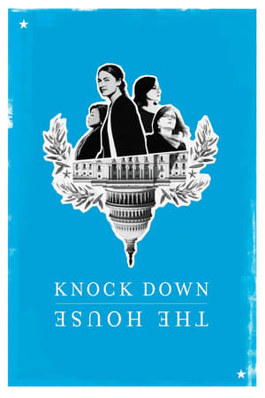 Knock Down the House (2019) Hindi Dual Audio 300MB HD Poster Download - filmyfly