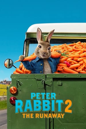 Peter Rabbit 2: The Runaway (2021) Hindi Dual Audio [980MB] HD Poster Download - filmyfly
