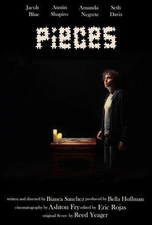 Pieces (2026) Hindi (MULTI AUDIO) – – HD Poster Download - filmyfly