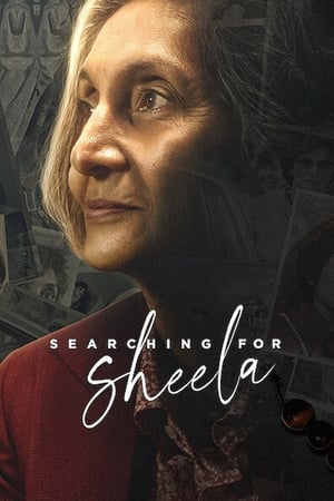 Searching for Sheela 2021 Hindi Movie [540MB] HD Poster Download - filmyfly