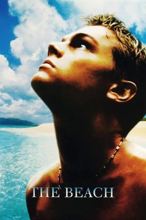 The Beach (2000) Hindi Dual Audio [900MB] HD Poster Download - filmyfly