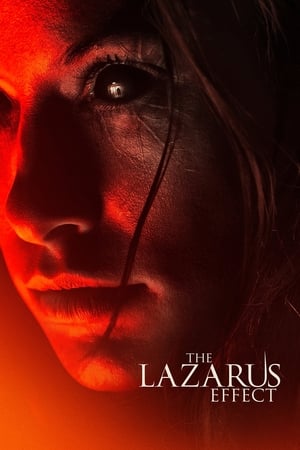 The Lazarus Effect (2015) Hindi Dual Audio 300MB HD Poster Download - filmyfly