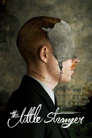 The Little Stranger (2018) Hindi Dual Audio 400MB HD Poster Download - filmyfly