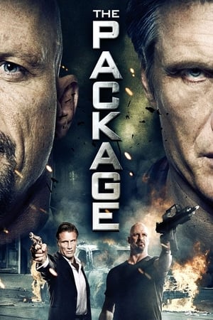 The Package (2013) Hindi Dual Audio 350MB HD Poster Download - filmyfly
