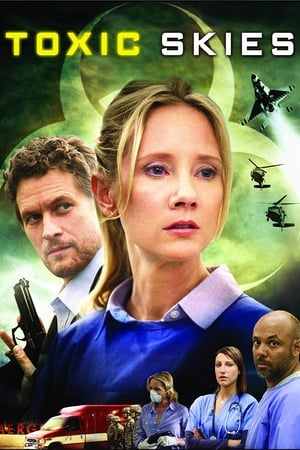 Toxic Skies 2008 Hindi Dual Audio [950MB] HD Poster Download - filmyfly