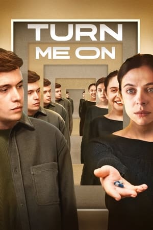 Turn Me On (2024) Hindi (MULTI AUDIO) HD Poster Download - filmyfly