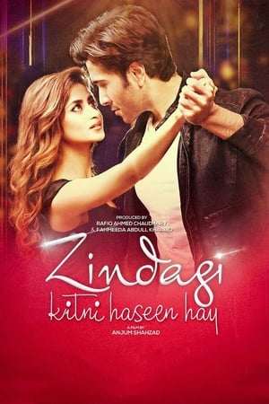 Zindagi Kitni Haseen Hay (2016) Pakistani Movie [980MB] HD Poster Download - filmyfly